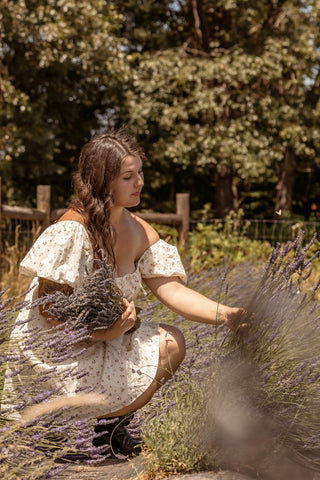 Lavender in Skincare: Benefits for Sensitive Skin, Acne & More