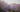 Lavender in Skincare: Benefits for Sensitive Skin, Acne & More