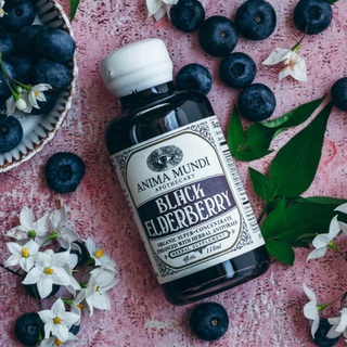 black elderberry syrup