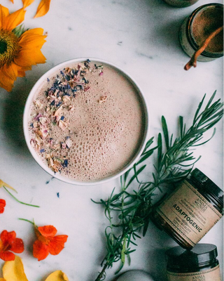 ADAPTOGENIC POWDER • Mushroom Superfood