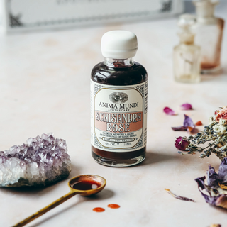 schisandra rose elixir