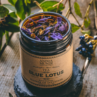 blue lotus tea