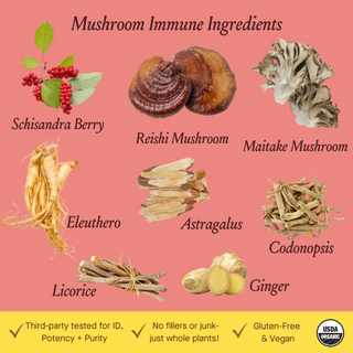 mushroom immune tonic