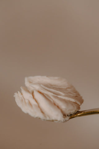 WILD ROSE • Rose Infused Tallow Moisturizer