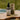 The Tamed Mane - Organic Rosemary Hair Growth Elixir
