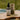 The Tamed Mane - Organic Rosemary Hair Growth Elixir
